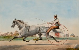 Grauer Wirbel von Nathaniel Currier