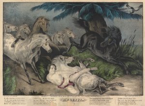 Mazeppa, Platte 3 (umgeben von wilden Pferden)