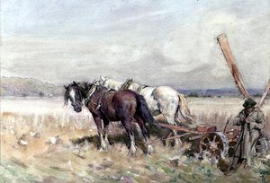 Ernte