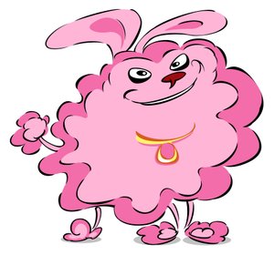 Pompom Pudel - Karikatur