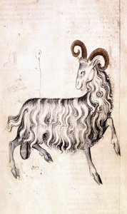 Das Sternzeichen Steinbock (Pergament) von Netherlandish School