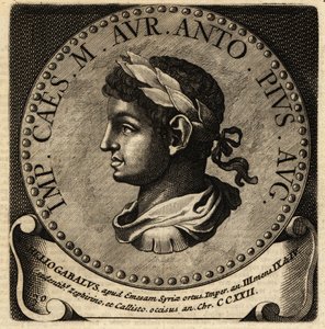 Unbekanntes Bild von Netherlandish School