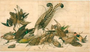 ohne Titel (Australische Wildvögel) von Neville Henry Cayley