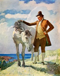 Pferd und Besitzer