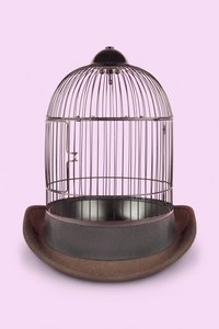 Mentalkäfig, 2020 von Niccolò Fioriti