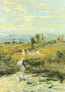 Enten am Morgen, ca. 1892 von Niccolo Cannicci