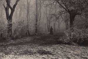Im Wiener Wald von Nichol Elliot