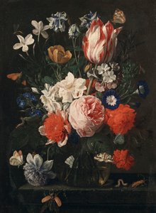 Eine Rose, eine Tulpe, Winde und andere Blumen in einer Glasvase auf einem Steinvorsprung, 1671 von Nicholaes van Verendael