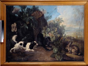 Zwei Hunde und ein Kaninchen