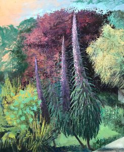 Drei Echiums von Nick Williams