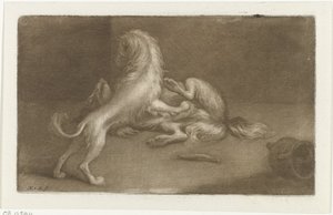 Zwei spielende Hunde