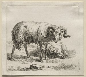 Animalia: Widder und Schafe von Nicolaes Berchem