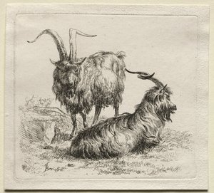 Animalia: Zwei Ziegen von Nicolaes Berchem