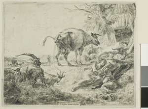 Kuh erleichtert sich von Nicolaes Berchem