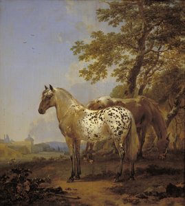 Zwei Pferde in einer Landschaft
