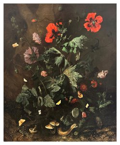 Ein Waldboden mit Blumen, Schmetterlingen und Reptilien, um 1656-1700