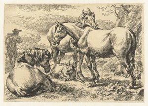 Drei Pferde (Dieren, Serientitel)