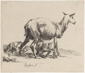 Mutterschaf, das ihr Lamm säugt von Nicolaes Pietersz Berchem