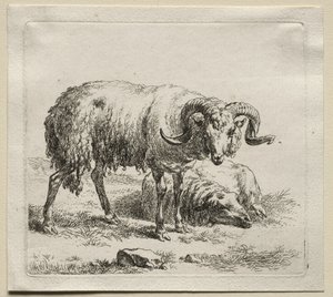 Widder und Schaf von Nicolaes Pietersz. Berchem