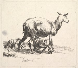 Schaf mit säugendem Lamm von Nicolaes Pietersz. Berchem