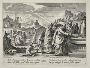 Die Geschichte von Elisa von Nicolaes Rijckmans