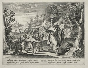 Die Geschichte von Elisa von Nicolaes Rijckmans