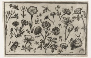Blumen, eine Fliege und eine Schnecke von Nicolaes de Bruyn (possibly)