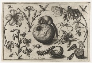 Blumen und eine Maus auf einem Apfel von Nicolaes de Bruyn (possibly)