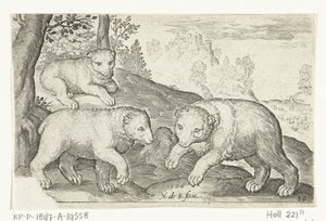 Drei Bären von Nicolaes de Bruyn