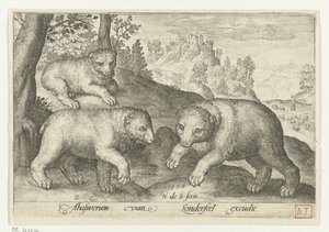 Drei Bären von Nicolaes de Bruyn