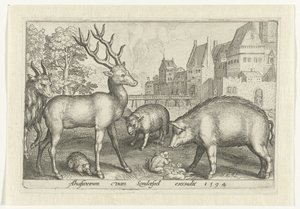 Hirsch, Igel, Schaf, Frosch und Schwein