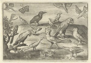 Hopfen und andere Vögel