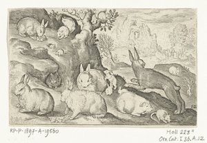 Kaninchen, Eichhörnchen, Meerschweinchen und Maus von Nicolaes de Bruyn