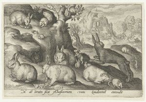 Kaninchen, Eichhörnchen, Meerschweinchen und Maus von Nicolaes de Bruyn