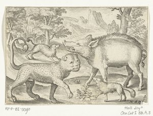 Leopard, Wildschwein und Hunde