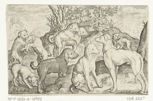 Neun Hunde von Nicolaes de Bruyn