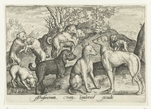 Neun Hunde von Nicolaes de Bruyn
