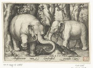 Zwei Elefanten (Vierfüßige Tiere, Tiere in Landschaften) von Nicolaes de Bruyn