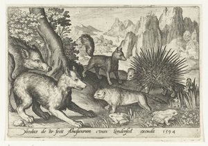 Wildschwein, Füchse, Biber, Stachelschwein und Frösche
