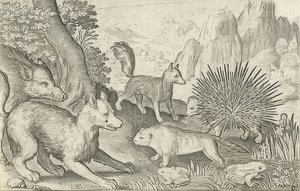 Wildschwein, Füchse, Biber, Stachelschwein und Frösche von Nicolaes de Bruyn