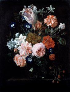 Eine Tulpe, Nelken und Prunkwinde in einer Glasvase, 17. Jahrhundert