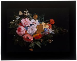 Ein Feston aus Rosen, Geißblatt, Lilien, Narzissen, Ringelblumen, eine Schachbrettblume