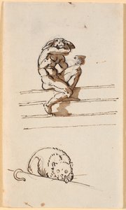 Studie von Lucius mit Eselkopf. Unten Studie zur Katze in Simo vertraut sich Sosia an