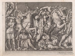 Speculum Romanae Magnificentiae: Schlacht der Amazonen, 1559