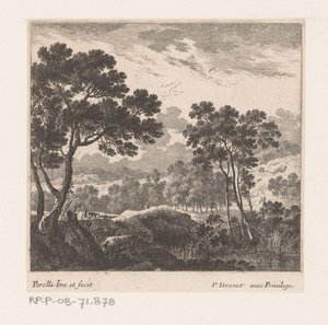 Landschaft mit Bäumen und See von Nicolas Perelle