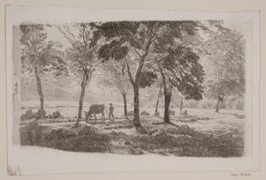Allee