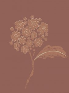 Erdige botanische Blüte von Nikita Jariwala