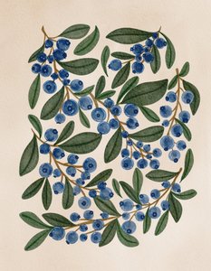 Frische Blaubeerzweige von Nikita Jariwala