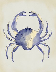 Aquarell Blauer Krebs von Nikita Jariwala