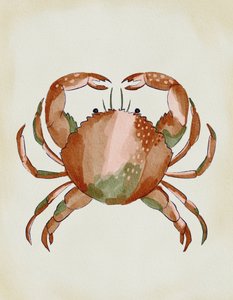 Aquarell Krebs von Nikita Jariwala